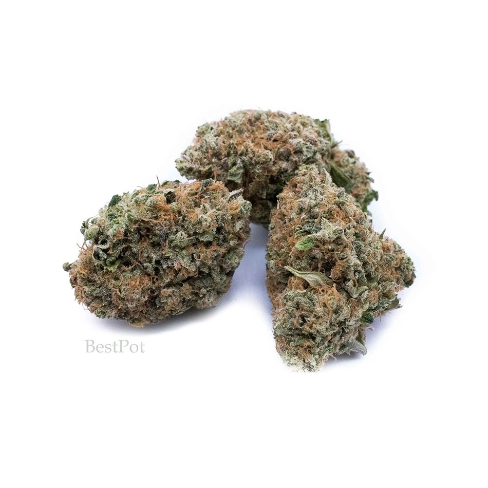 jackherercbd aaa 003