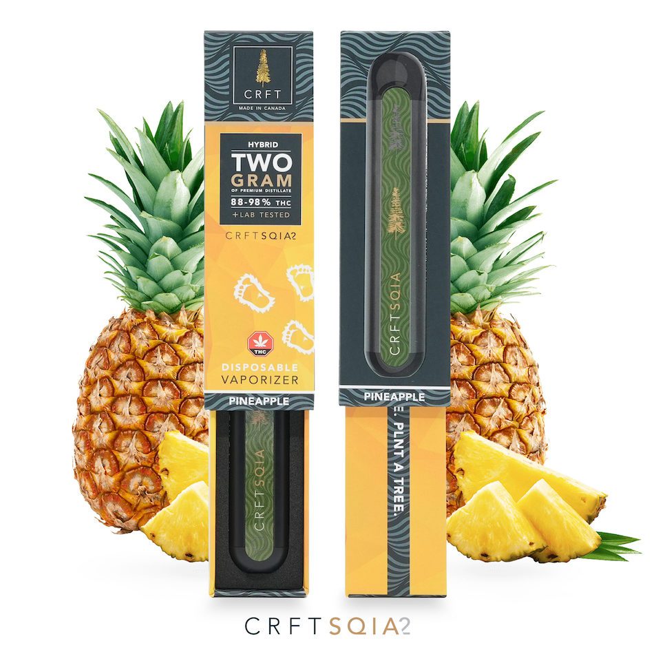 CRFT SQUIA 2G Pineapple