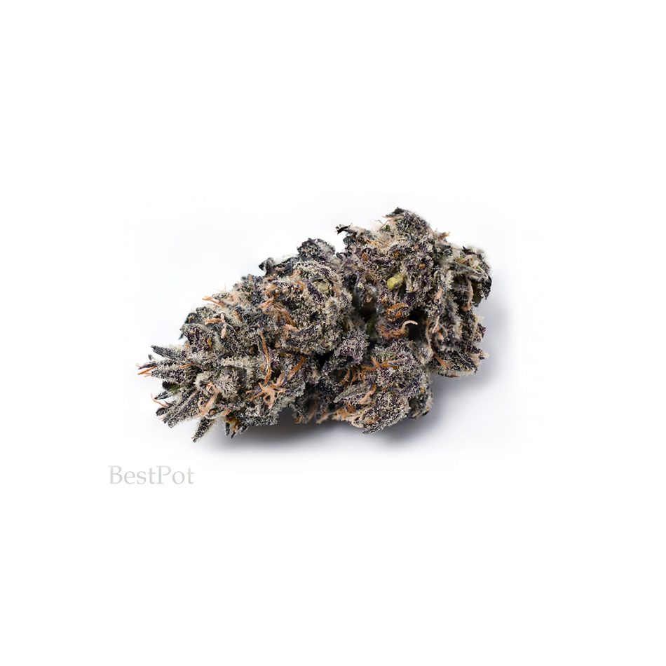 grapeape aa 001