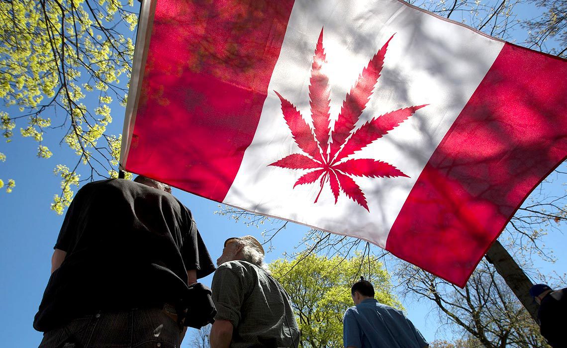 You are currently viewing Pros And Cons of Cannabis Legalisation